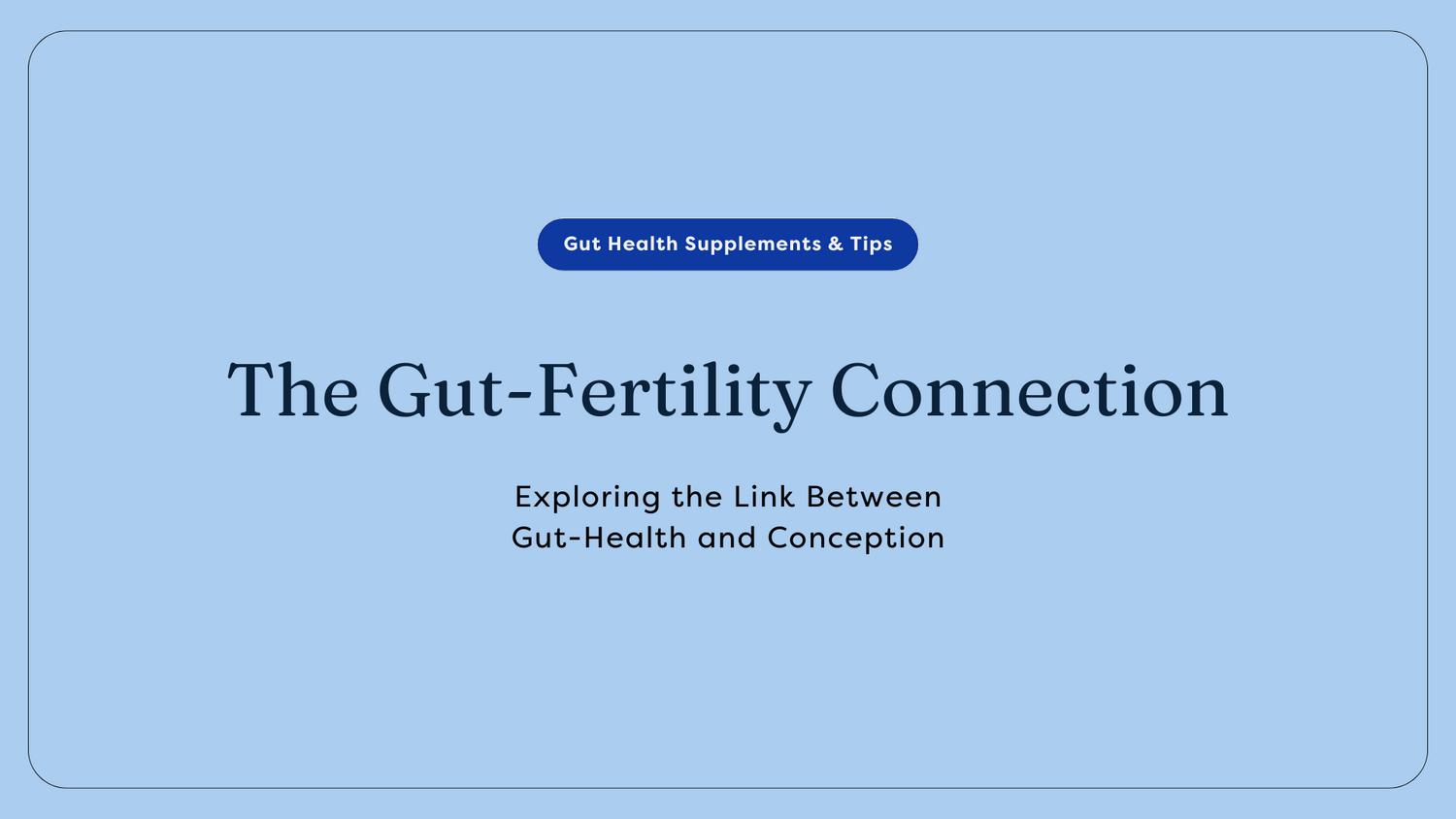 Gut Fertility Connection
