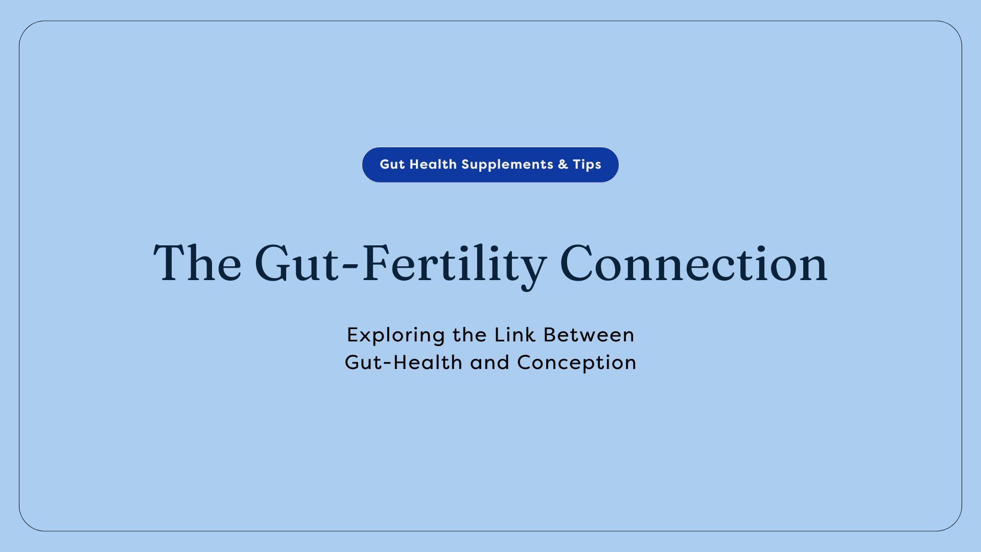 Gut Fertility Connection