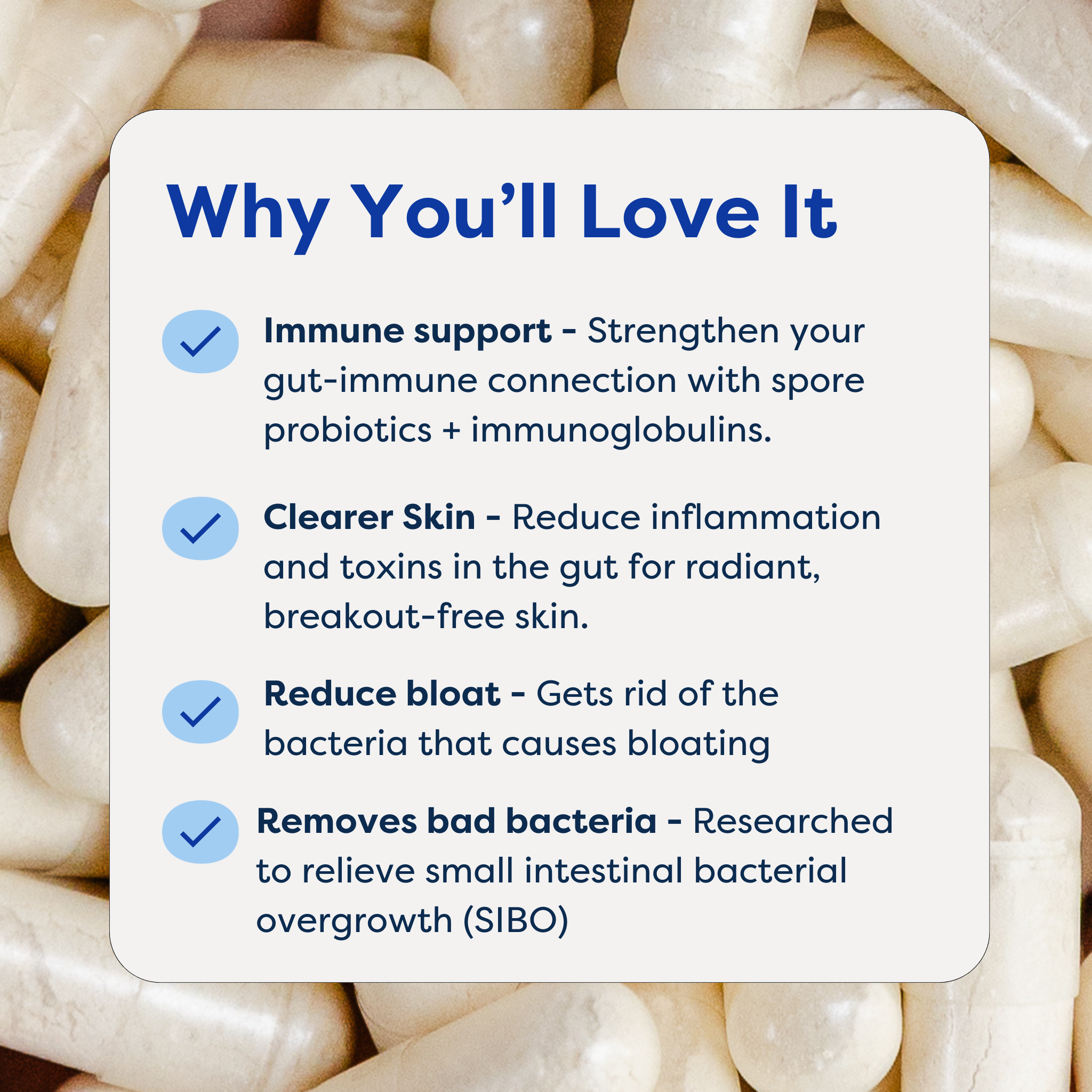 The Gut + Skin Probiotic (formally the Healer + Probiotics)