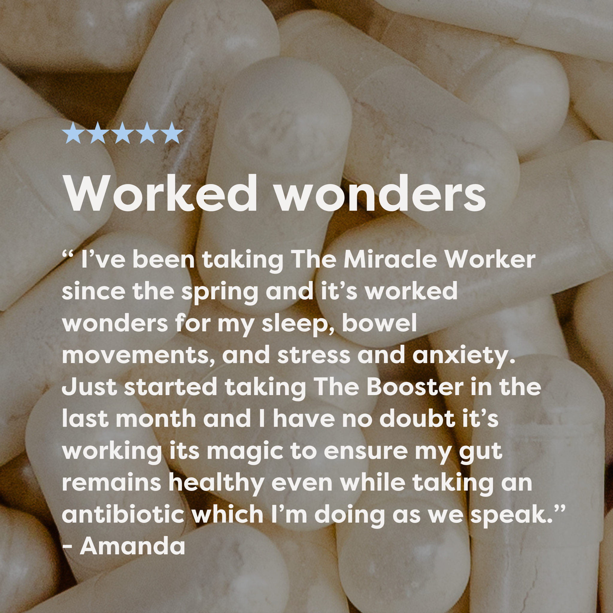 Healthy Gut Beginner Bundle