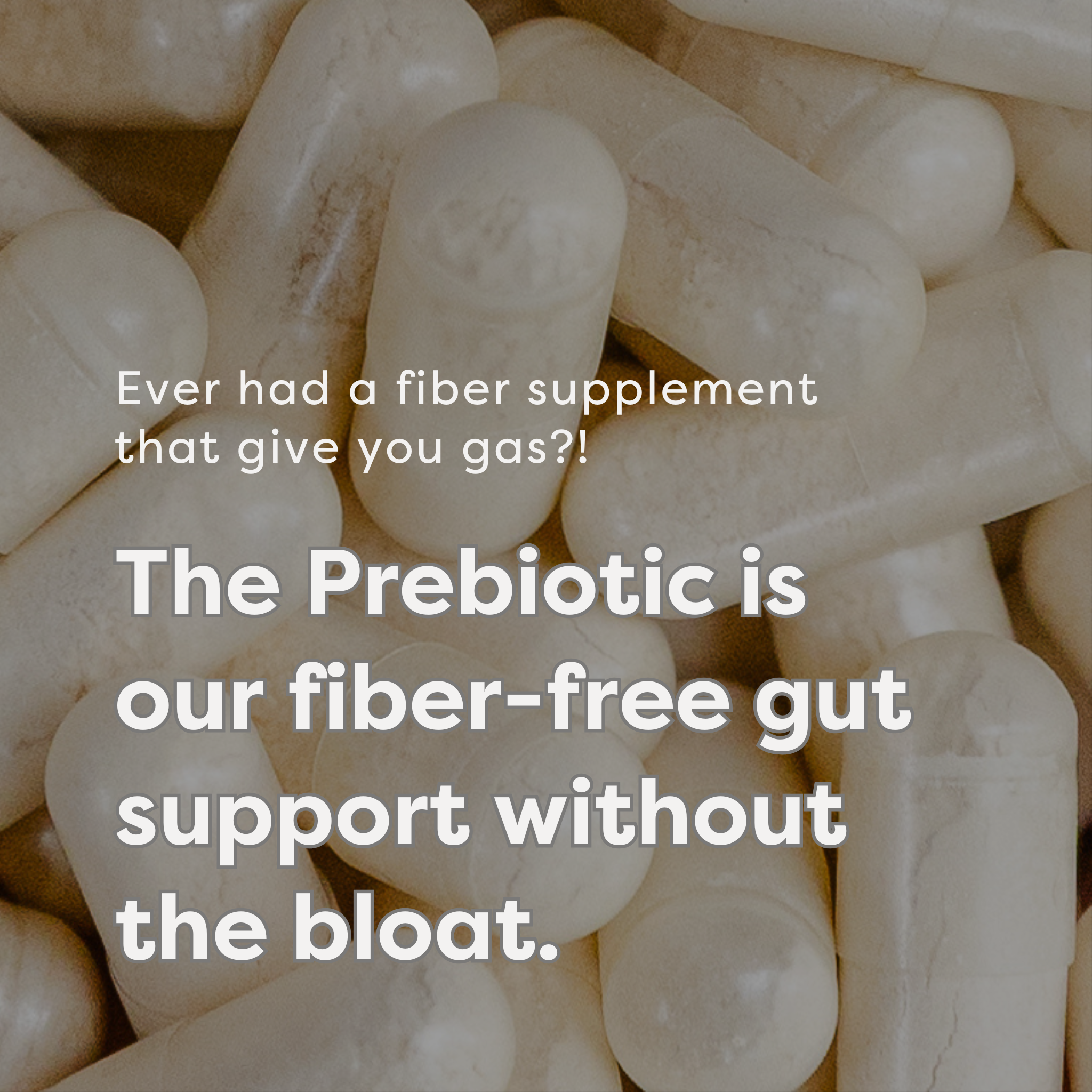 The Prebiotic